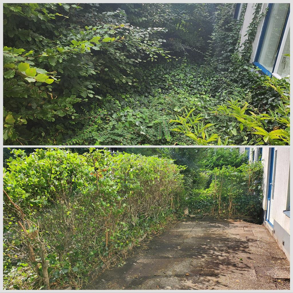 Betrouwbare tuinman | Tuinonderhoud en snoeiwerk Den Haag, Garantie, Tuinontwerp