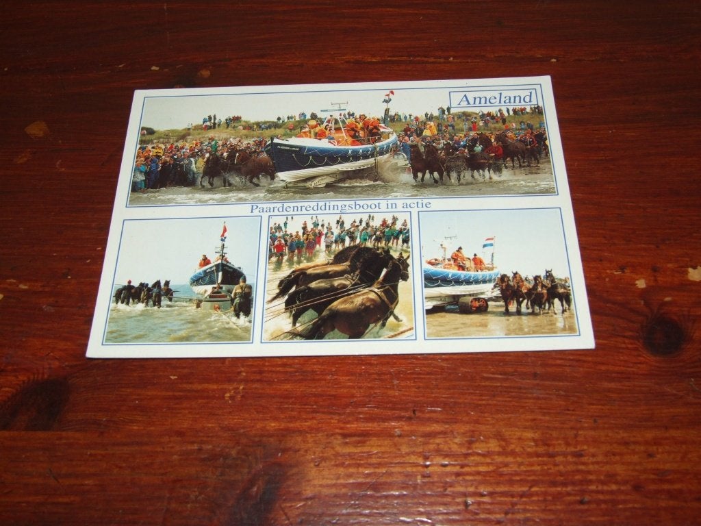A81- Ansichtkaart Ameland Paardenreddingsboot in actie, Verzenden, 1980 tot heden, Gelopen, Waddeneilanden