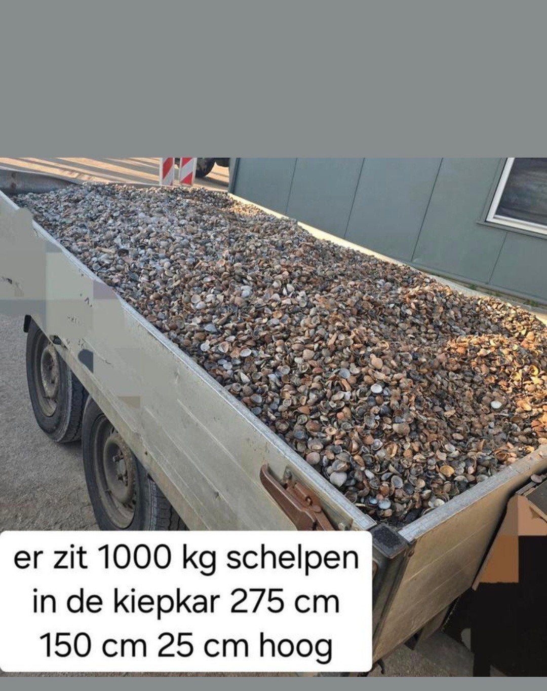 Schoone schelpen, Tuin en Terras, Ophalen of Verzenden