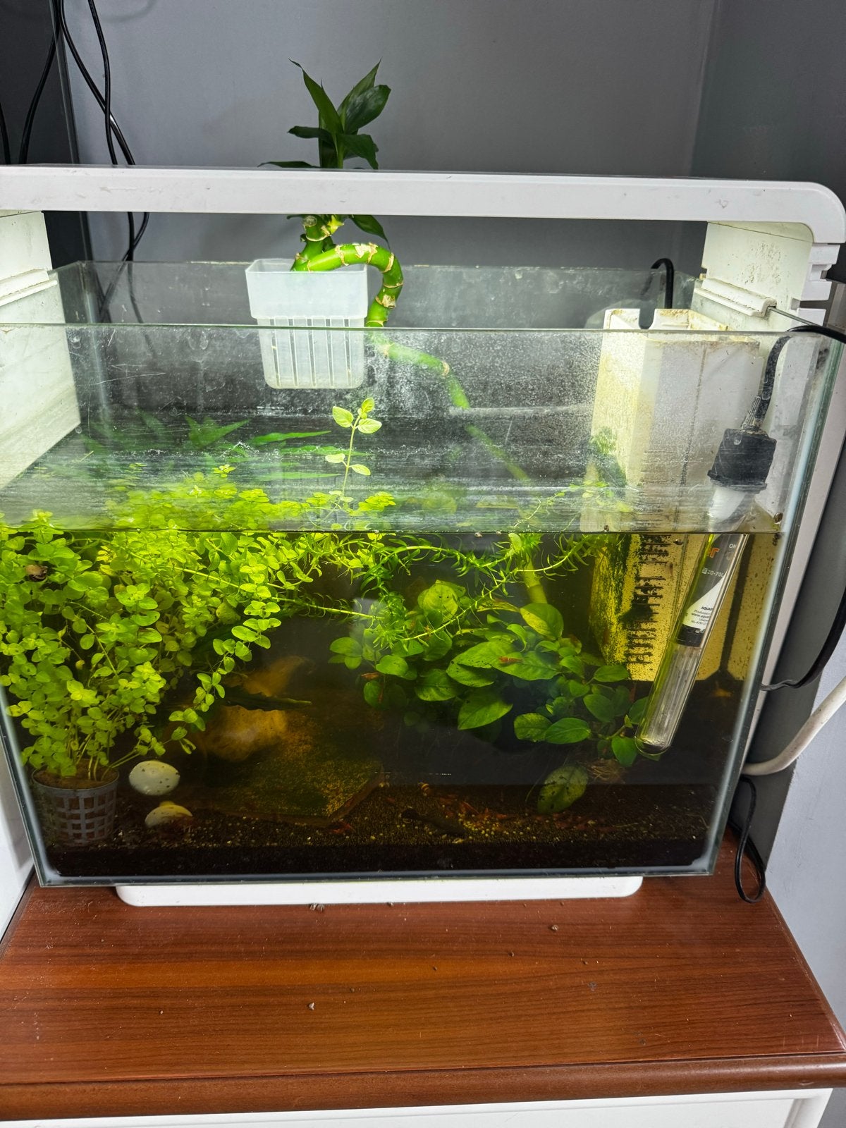 Superfish Home 40, Dieren en Toebehoren, Vissen | Aquaria en Toebehoren, Ophalen, Inclusief vissen, Zo goed als nieuw, Overige typen