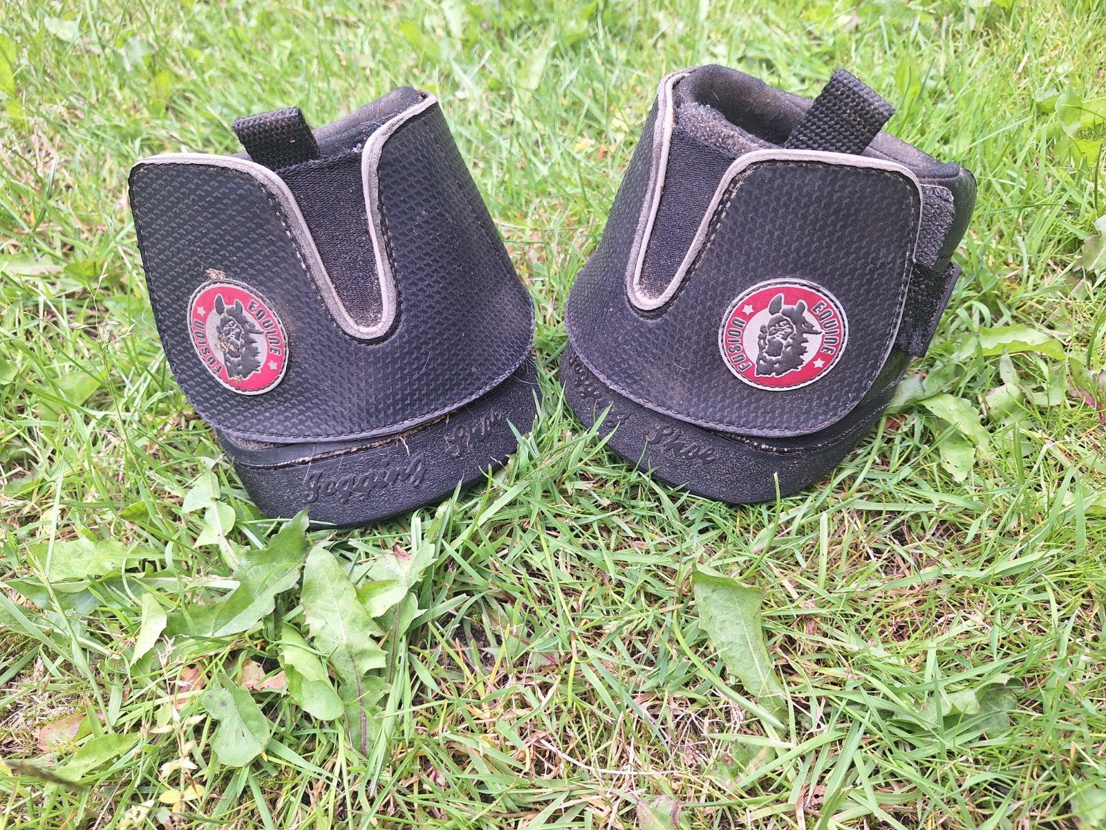 Equine Fusion Hoefschoenen
Maat 12 slim, Ophalen of Verzenden, Zo goed als nieuw