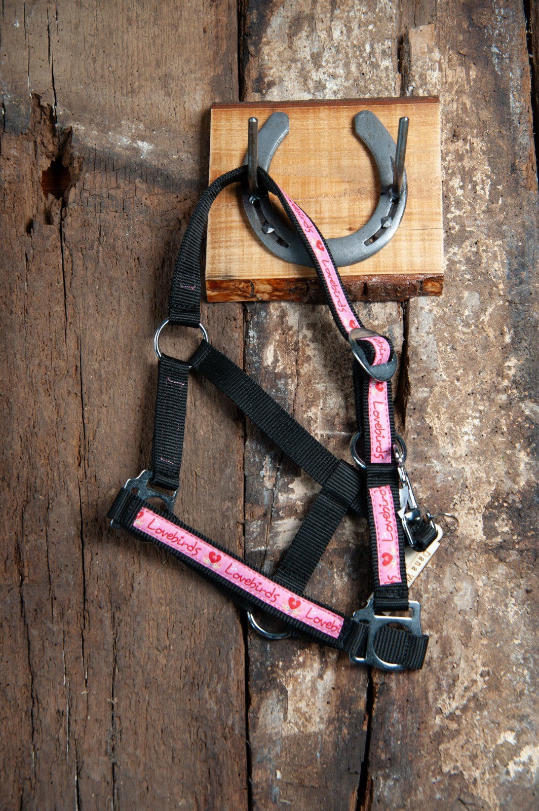 Halster met print, Dieren en Toebehoren, Paarden en Pony's | Hoofdstellen en Tuigage, Shetlander, Overige disciplines, Handgemaakt