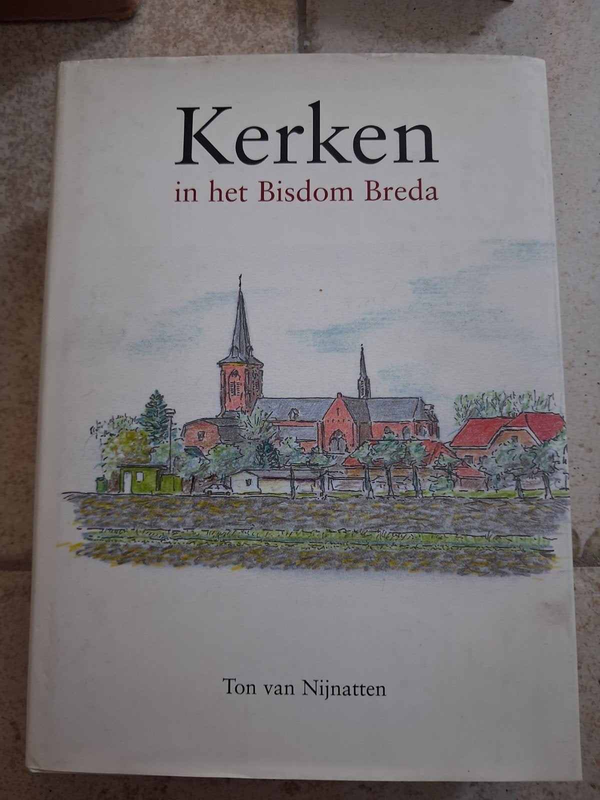Kerken in het Bisdom Breda - Ton van Nijnatten, Ophalen of Verzenden, Gelezen