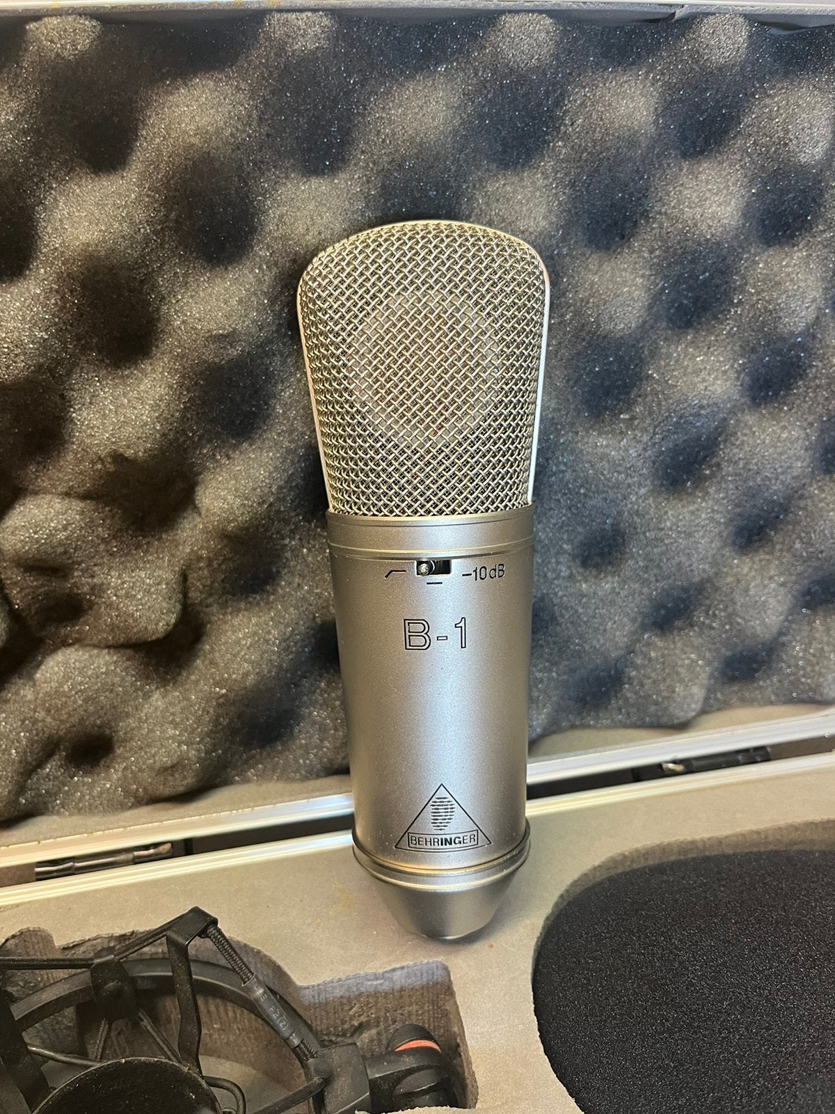 2 keer Behringer B-1 Condensatormicrofoon met Koffer, Muziek en Instrumenten, Ophalen, Zo goed als nieuw, Studiomicrofoon