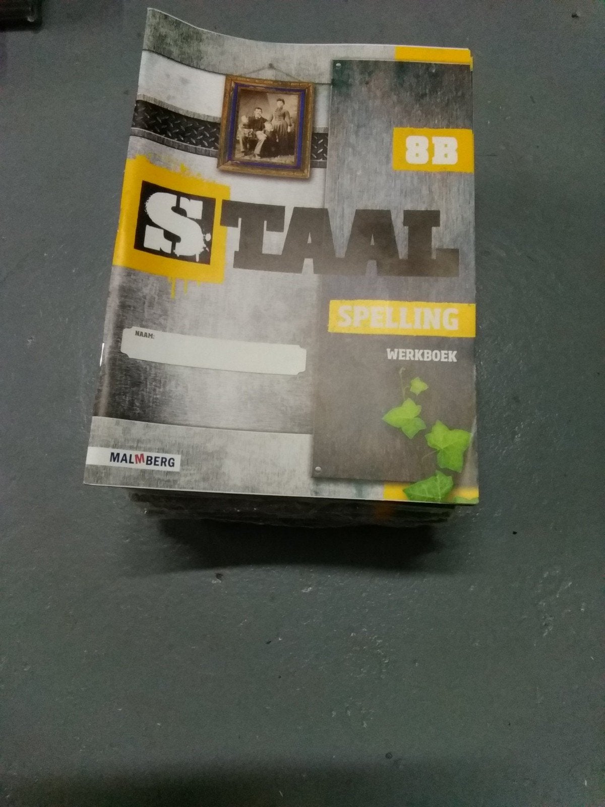 25x Staal Spelling Werkboek 8B Malmberg, Malmberg, Ophalen of Verzenden, Zo goed als nieuw, Nederlands