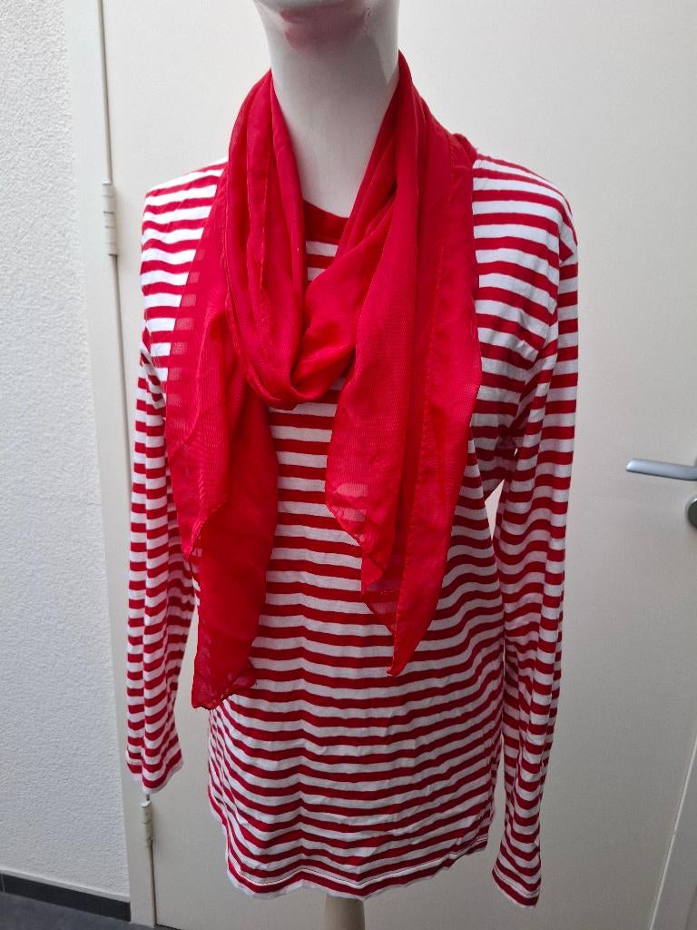 CARNAVAL, SHIRT, MAAT S EN SJAAL, Ophalen of Verzenden, Gedragen, Carnaval