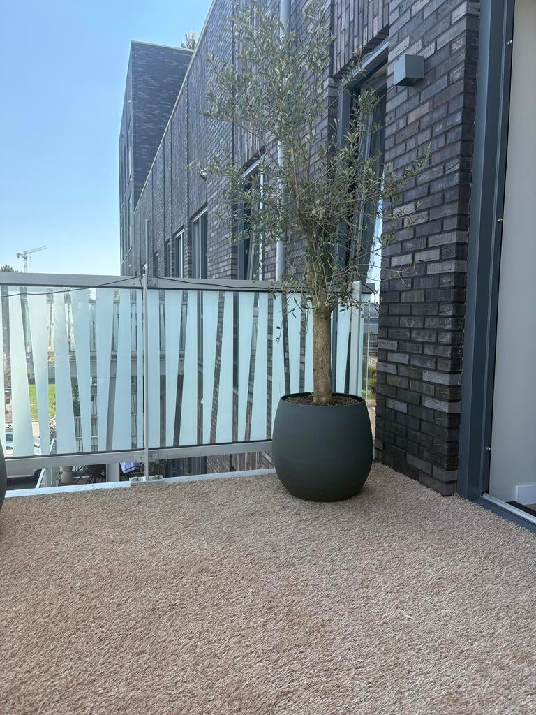 Kunstgras tapijt 3,50x4,00 m - nieuw!, Tuin en Terras, Gras en Kunstgras, Ophalen, Nieuw, 10 tot 20 m², Kunstgras