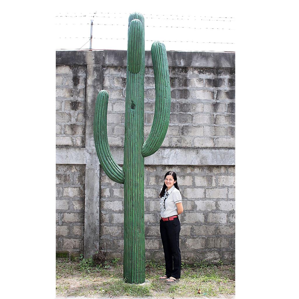 Cactus XXL – Kaktus beeld Hoogte 398 cm, Verzamelen, Beelden en Beeldjes, Ophalen, Nieuw, Overige typen