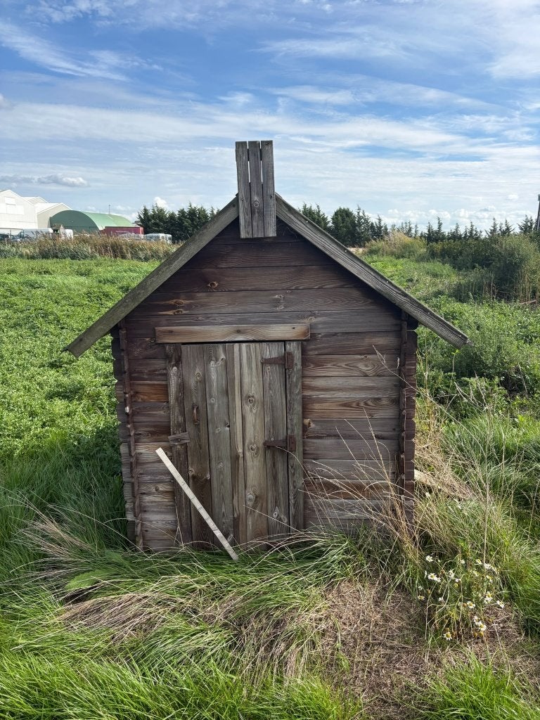 Kippenhok / speelhuisje, Dieren en Toebehoren, Geslacht onbekend, Kip