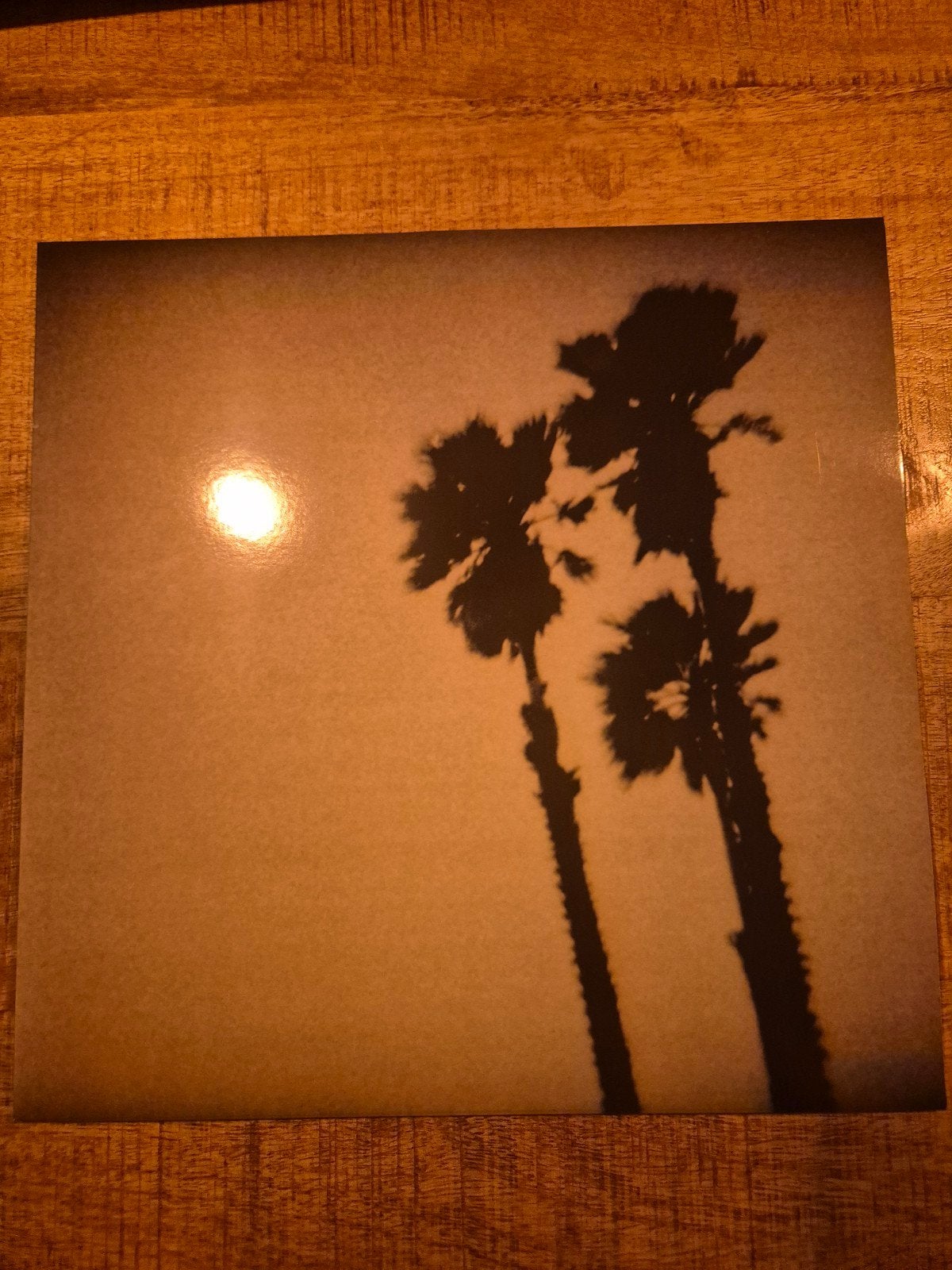 The Twilight Singers - Blackberry Belle (Vinyl, ZGAN), LP, Ophalen of Verzenden, Zo goed als nieuw, 12 inch