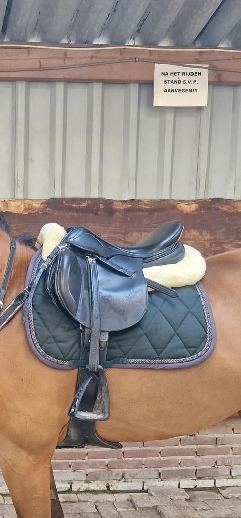 Prestige Springzadel 16 inch, Dieren en Toebehoren, Ophalen, Springen