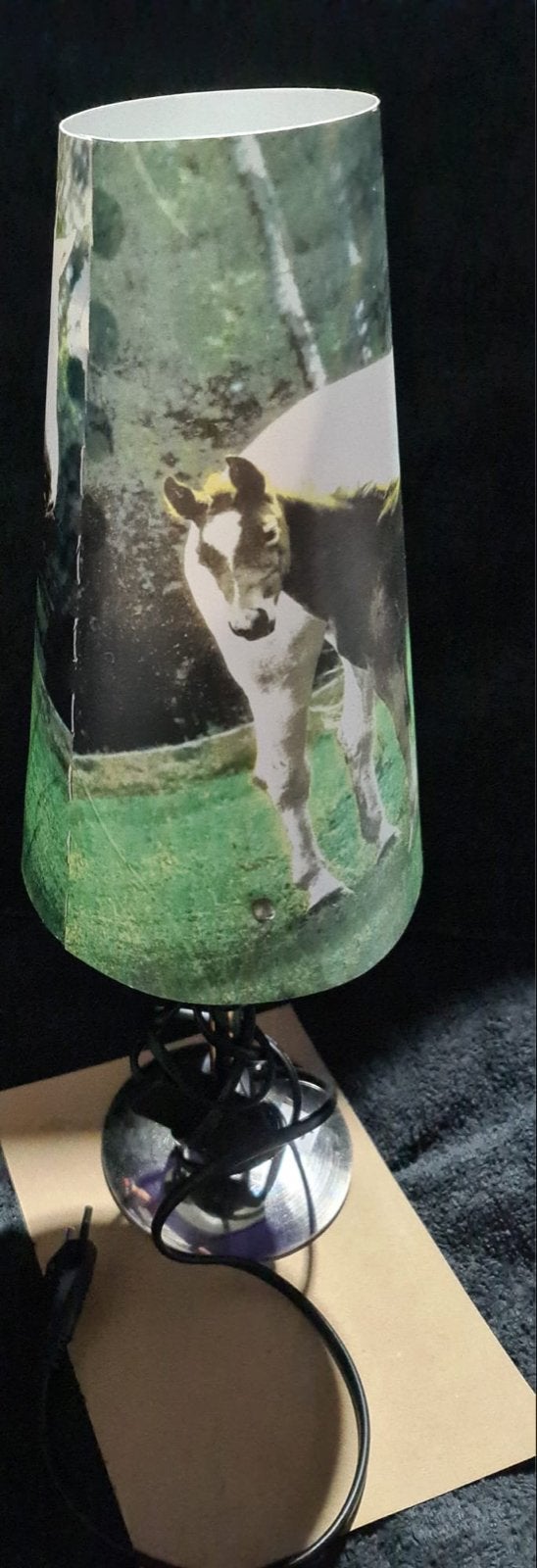 Unieke Paardenlamp - Sfeervolle Verlichting met Paardenprint, Met schakelaar, Overige merken, Gebruikt, Kunststof
