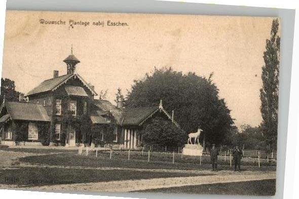 Wousche Plantage naby Esschen met Belgisch zegel zie info, Ophalen of Verzenden, Voor 1920, Gelopen, Noord-Brabant