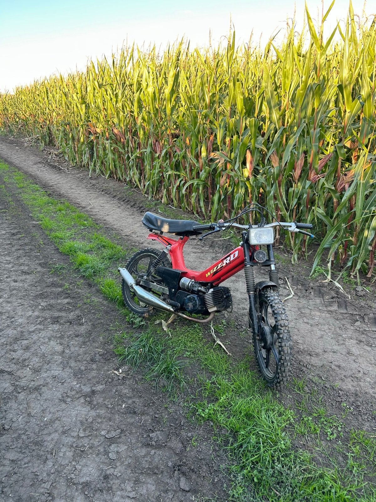 Tomos A35 65cc, Fietsen en Brommers, Ophalen, Gebruikt, Overige modellen, Maximaal 45 km/u