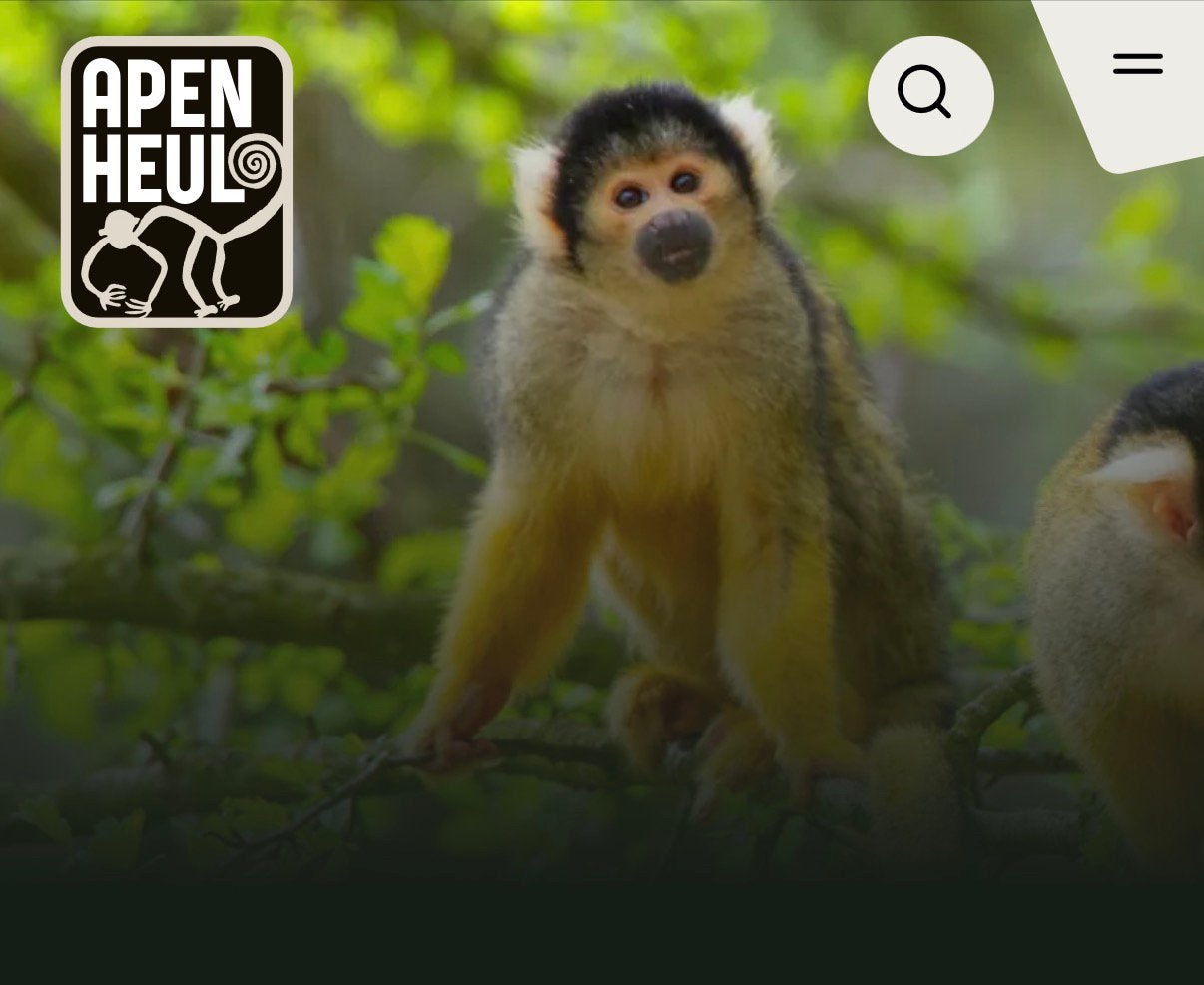 5x apenheul tickets - geldig op zondag 1 november 2026, Drie personen of meer, Ticket of Toegangskaart