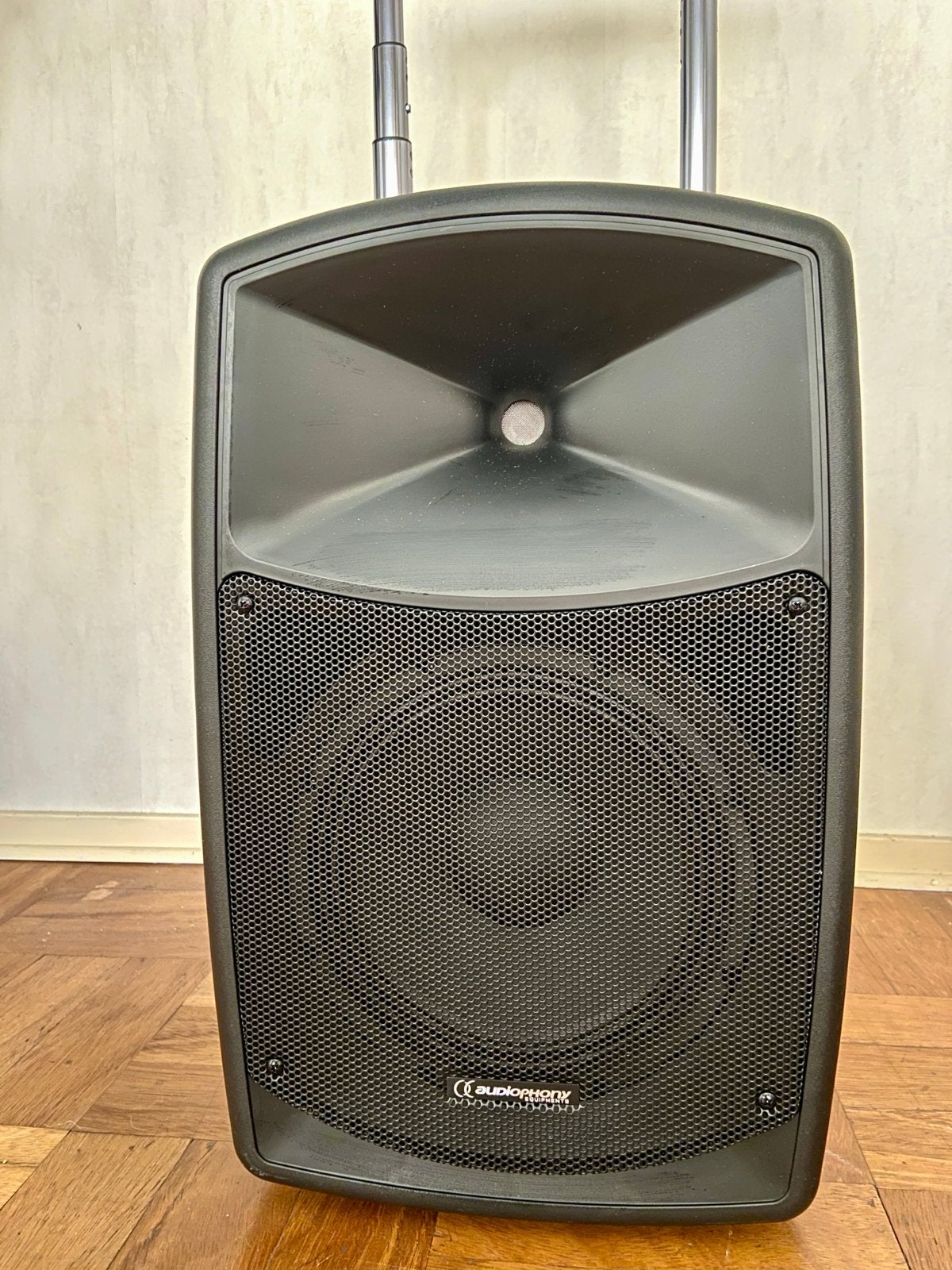Audiophony CR12A-COMBO Draagbare Geluidsset - ZGAN, Audio, Tv en Foto, Luidsprekers, Overige typen, Zo goed als nieuw, 120 watt of meer