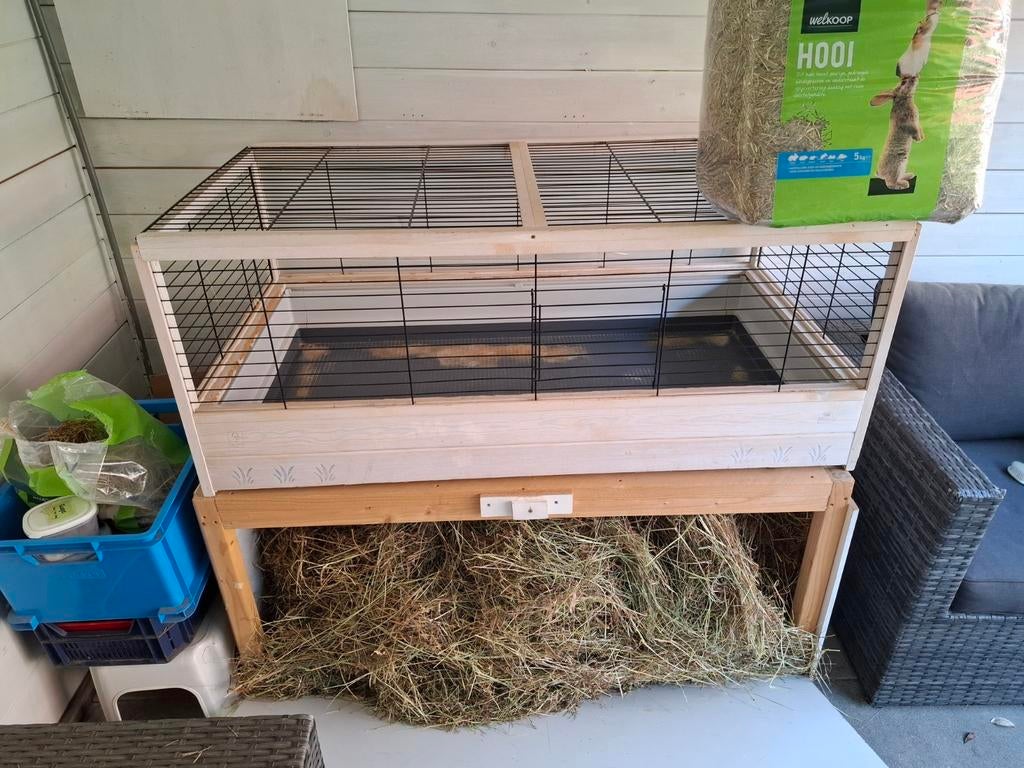 Compleet hok inclusief voer en alles voor cavia's, Kooi, Cavia, Ophalen, Minder dan 60 cm
