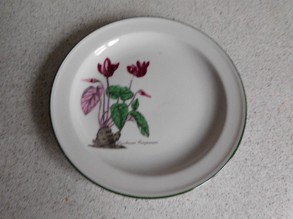 Bord 19 cm. Renate Seltmann Weiden Bavaria Germany, Ophalen of Verzenden