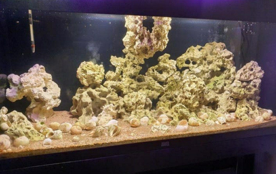 Juwel Rio 180 tanganjika inrichting, Dieren en Toebehoren, Vissen | Aquaria en Toebehoren, Ophalen