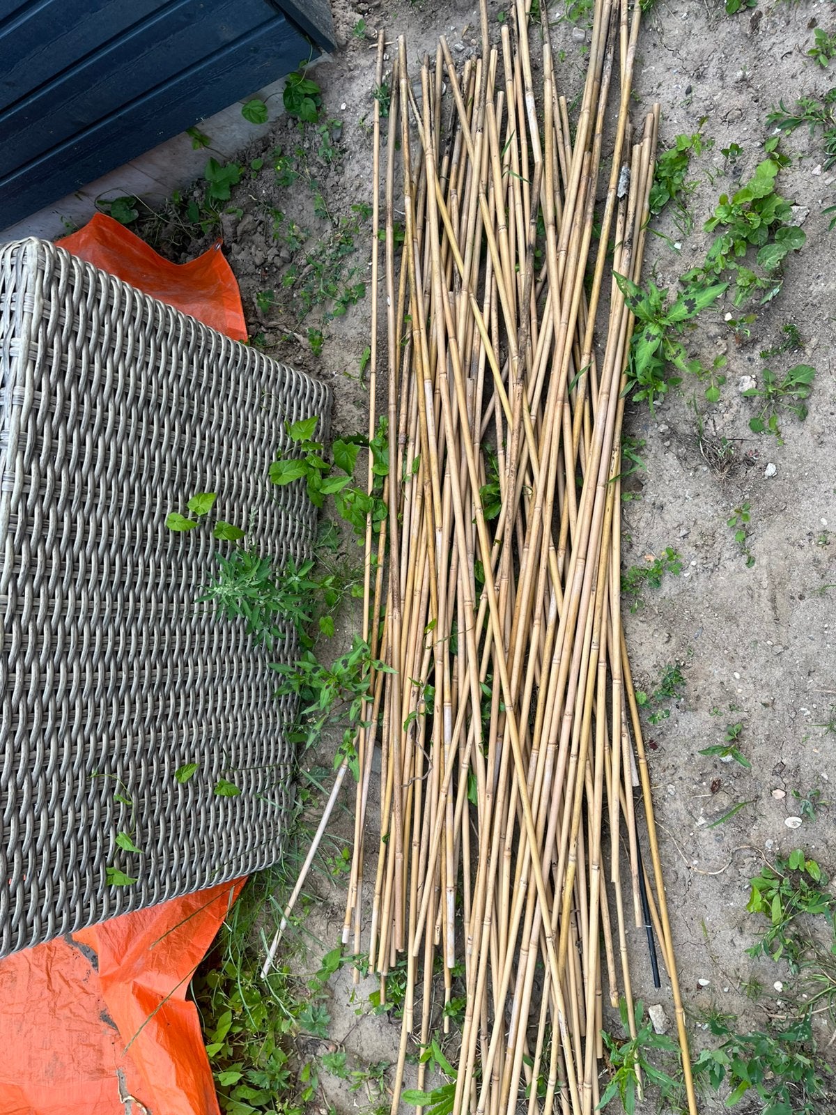 Bamboestokken, Tuin en Terras, Kweekspullen, Ophalen of Verzenden, Zo goed als nieuw