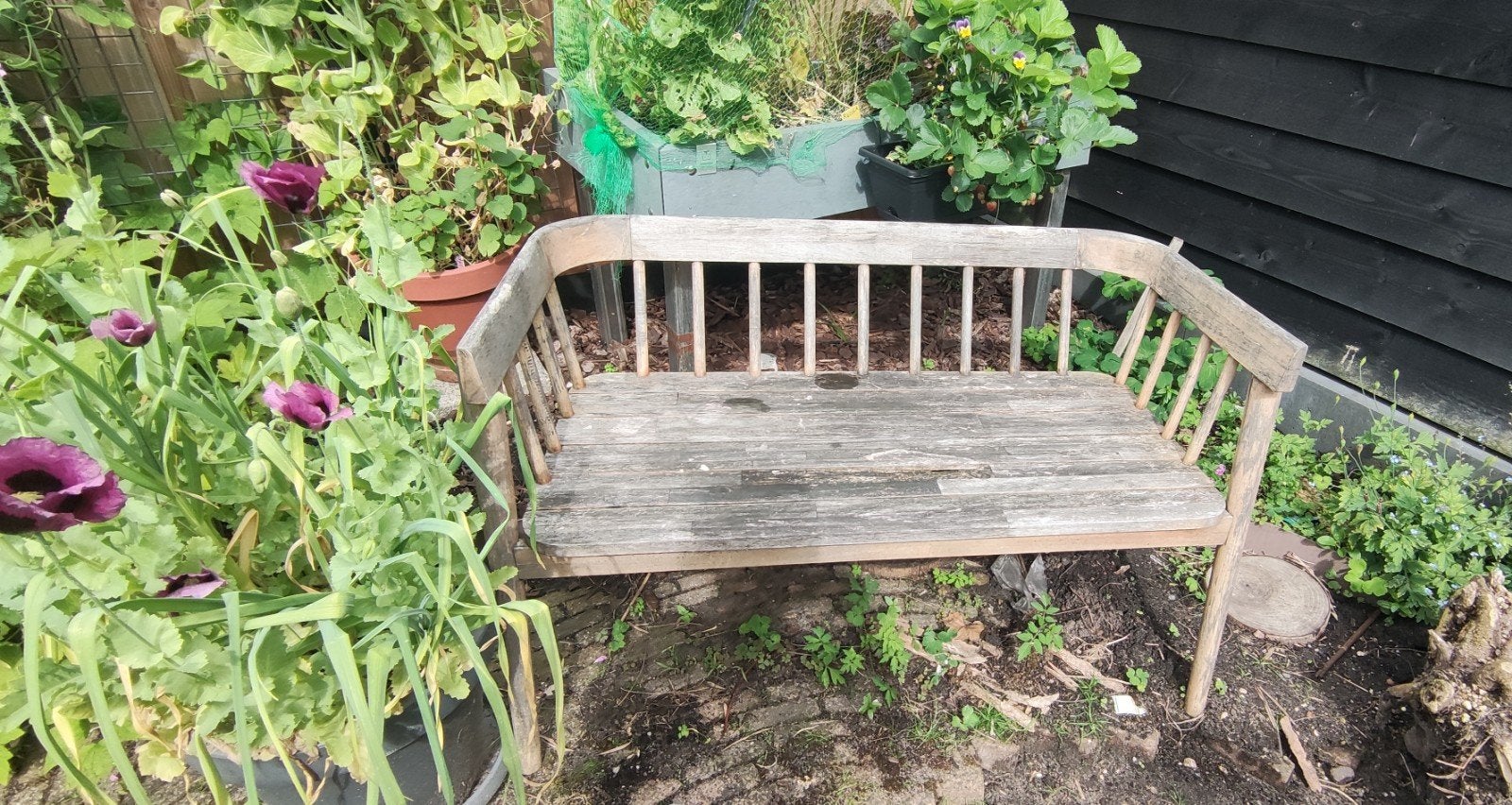 Bankje Acacia hout, Ophalen, Gebruikt, Hout