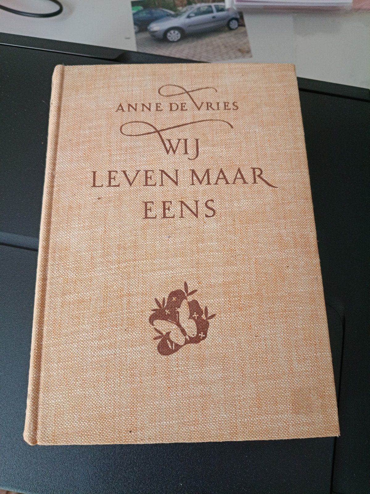 Wij Leven Maar Eens - Anne de Vries (Gelezen), Boeken, Ophalen of Verzenden, Gelezen, Anne de Vries, Nederland