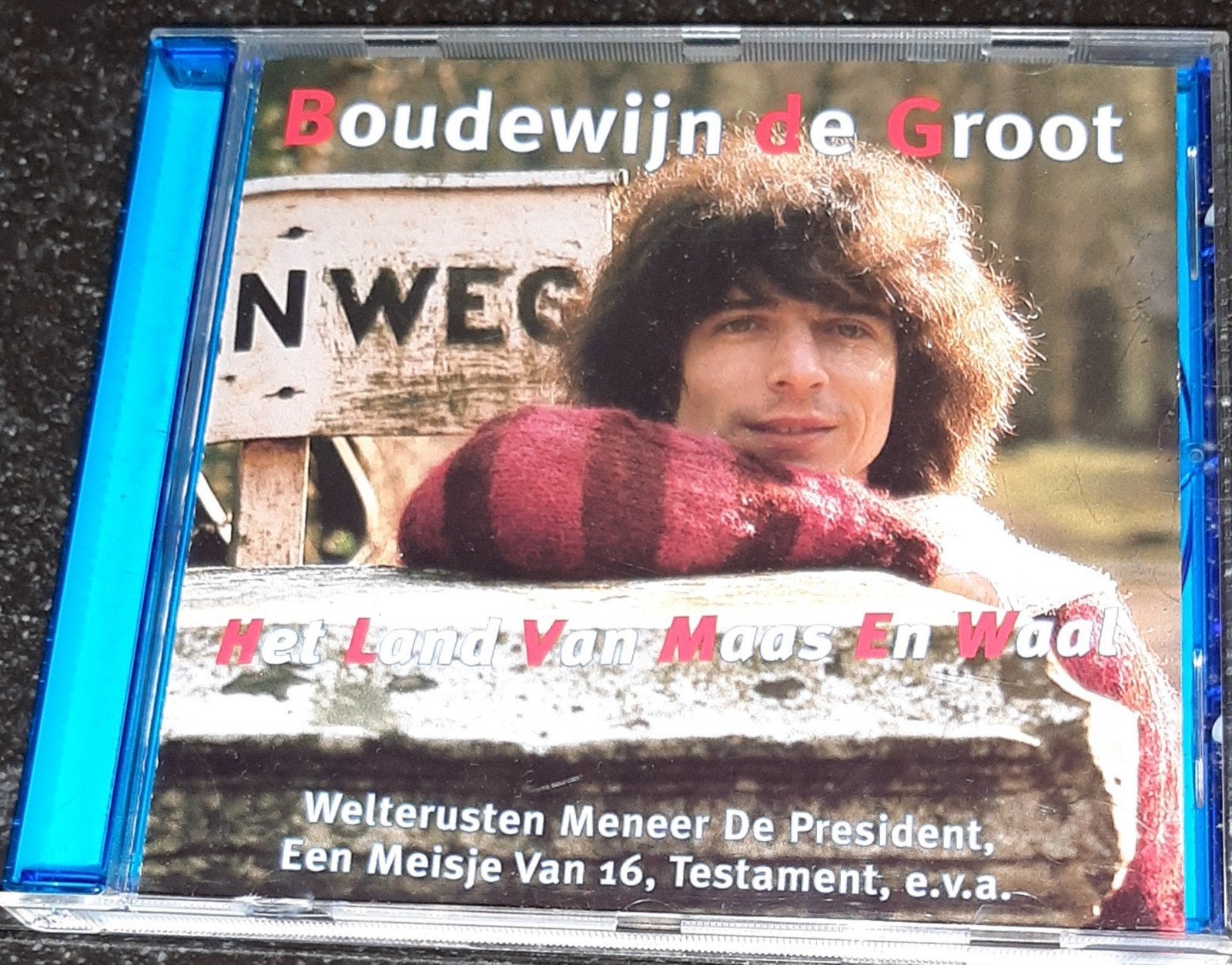 Boudewijn de Groot het land van maas en waal, Ophalen of Verzenden, Zo goed als nieuw, Pop, Album