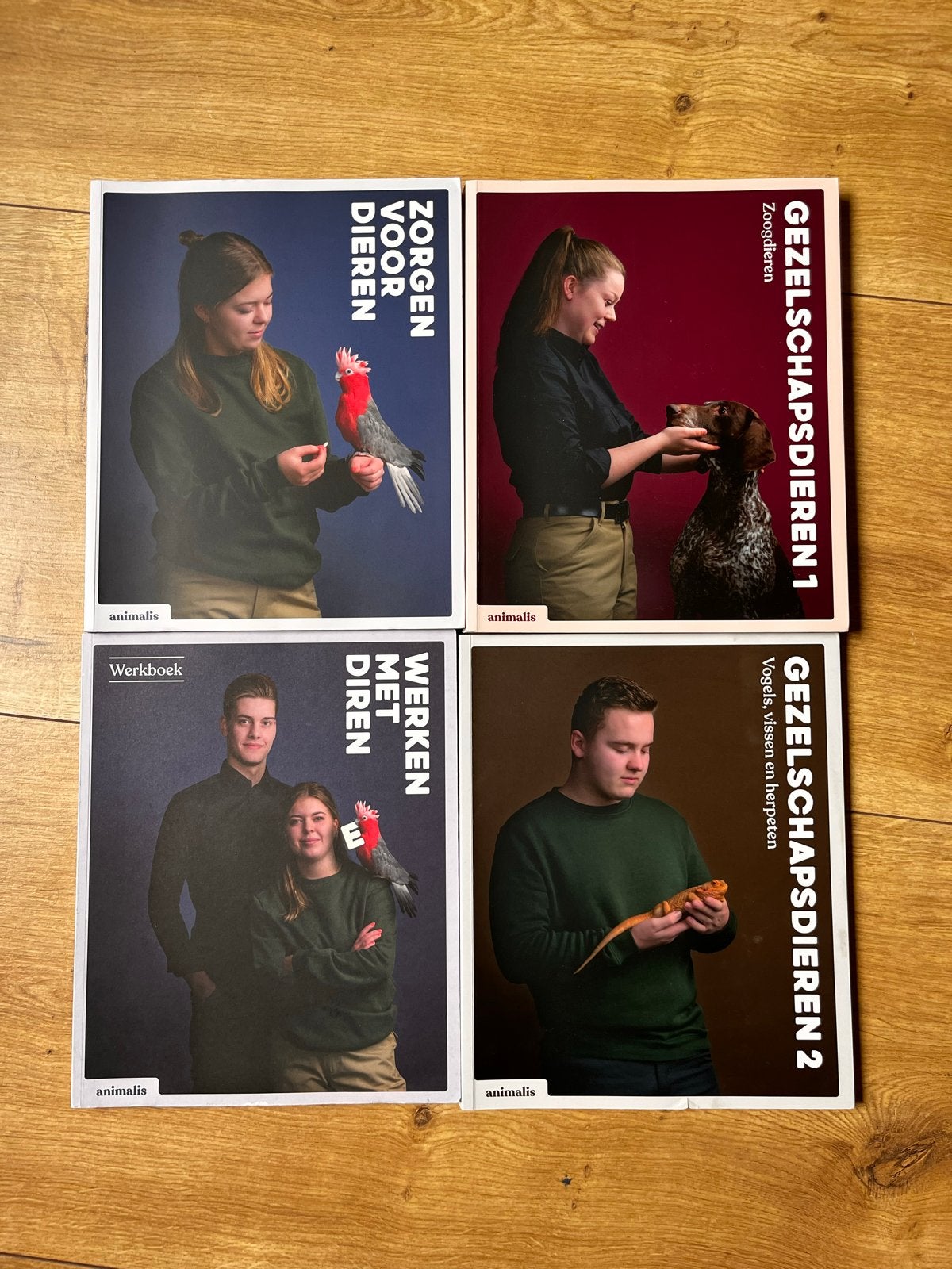 Animalis MBO-2 Dierverzorging Studieboeken (incl. werkboek), Ophalen of Verzenden, Zo goed als nieuw, Overige niveaus, Overige vakken