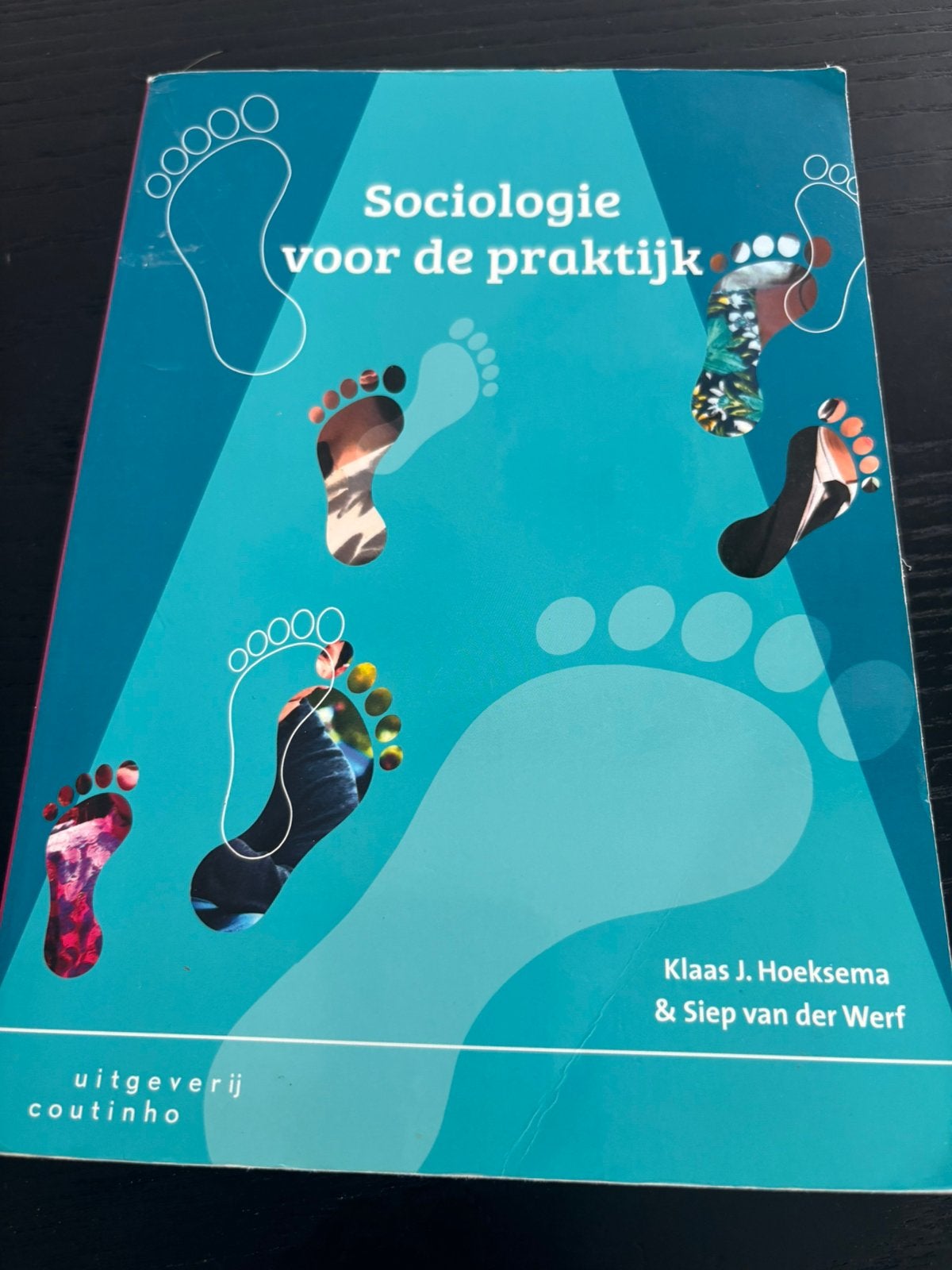 Sociologie voor de praktijk – Hoeksema & Van der Werf, Boeken, Ophalen, Zo goed als nieuw, Overige niveaus