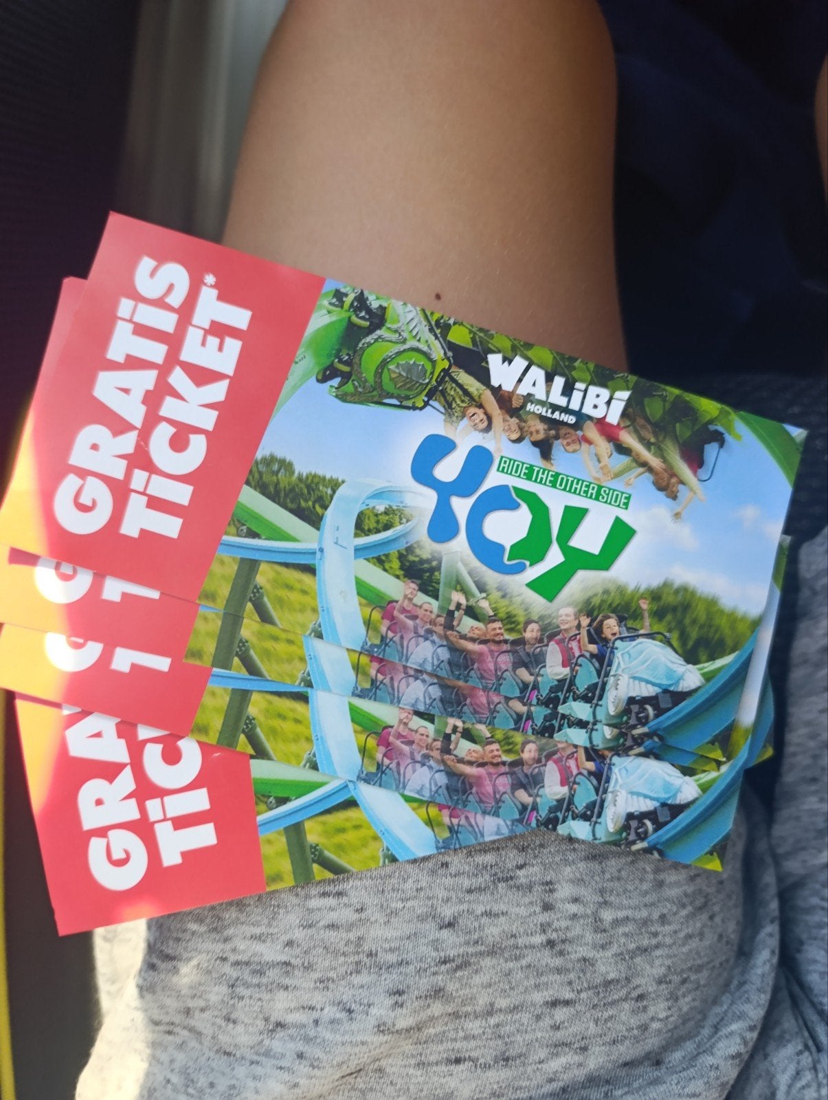 Walibi Holland tickets, Tickets en Kaartjes, Kortingen en Cadeaubonnen, Drie personen of meer, Pretpark, Overige soorten