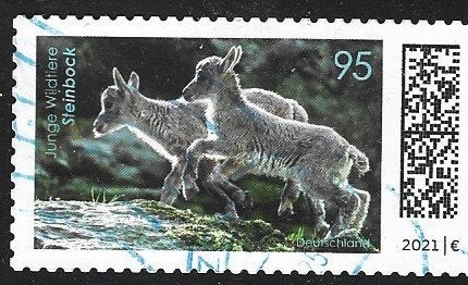 D 34 - 2021 - Duitsland/Baby Dieren, Ophalen of Verzenden, Overige landen, Gestempeld
