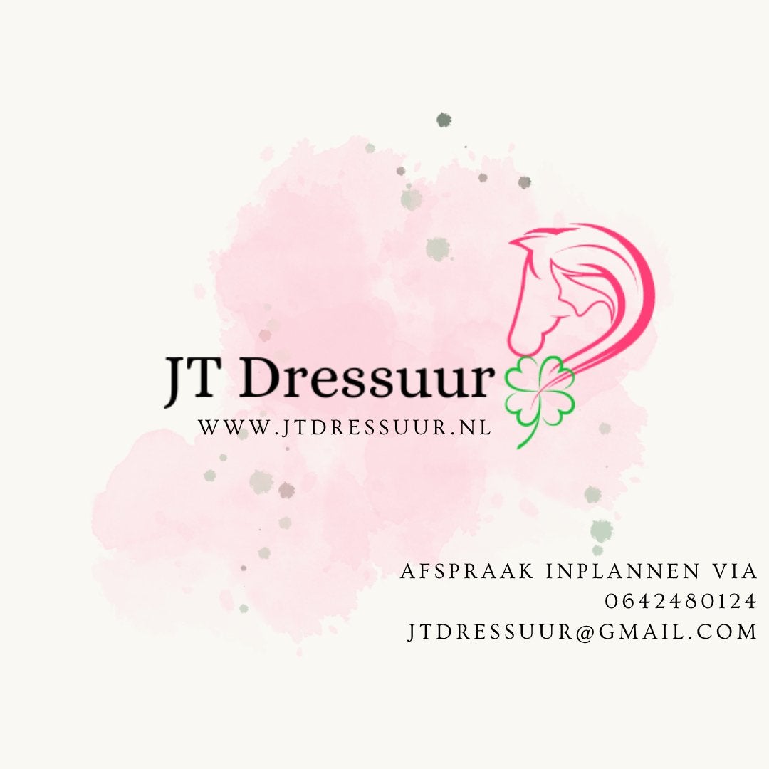 Paardrijlessen voor angstige, gespannen & onzekere ruiters, Ophalen, Nieuw, Dressuur
