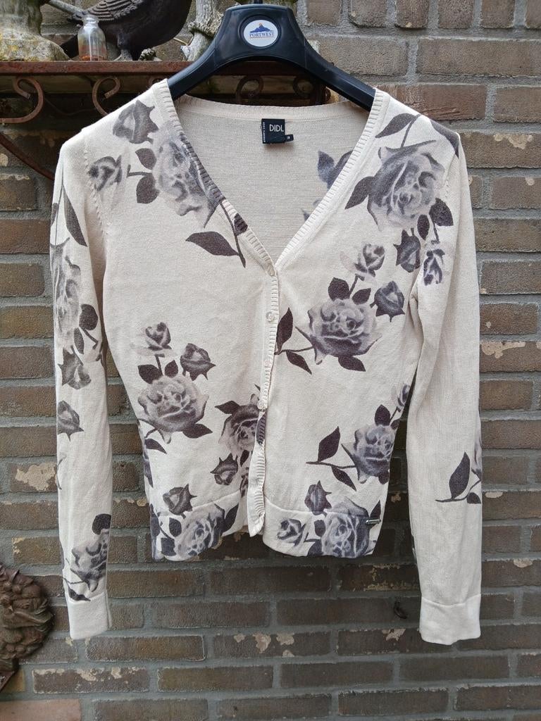 Vest rozen, Kleding | Dames, Ophalen of Verzenden, Gedragen, Maat 38/40 (M)