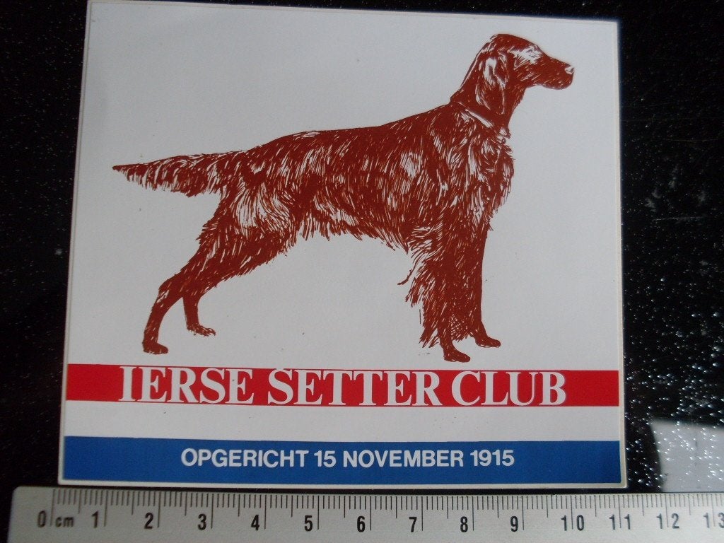 sticker ierse setter club logo opgericht 15 november 1915, Verzamelen, Verzenden, Zo goed als nieuw, Bedrijf of Vereniging