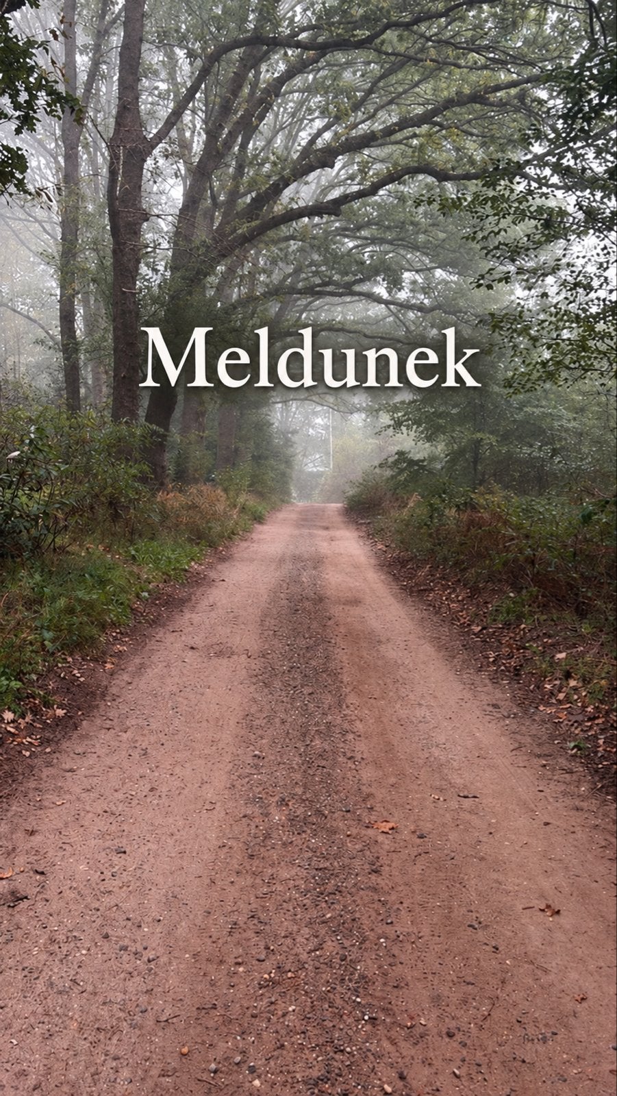 Meldunek !!, Diensten en Vakmensen, Tekstschrijver