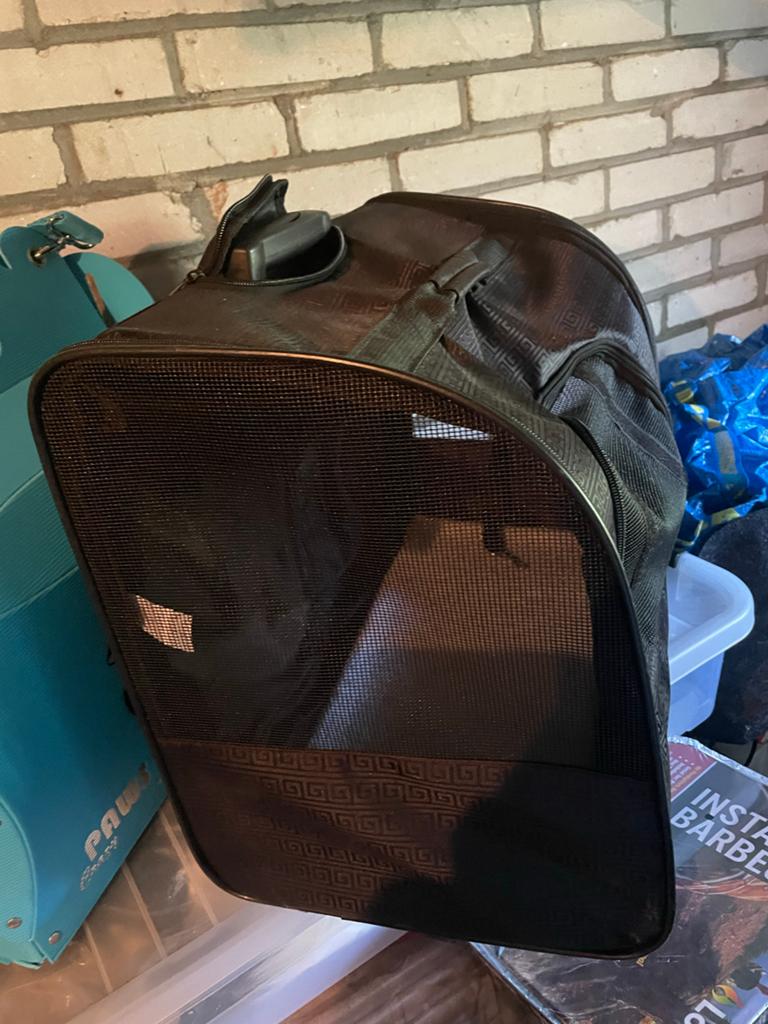 Transport box voor kat, Ophalen of Verzenden, Zo goed als nieuw