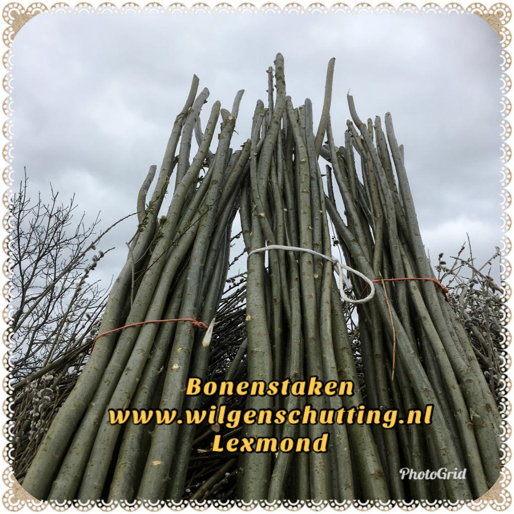 Bonenstaken., Ophalen of Verzenden, Nieuw