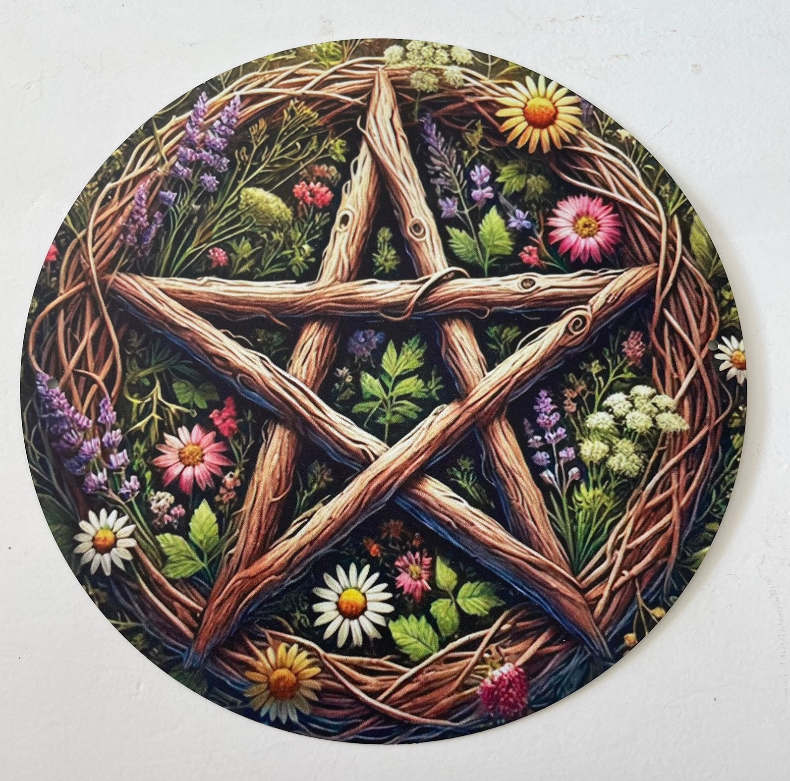 Metalen wandbord (pentagram/wicca), Ophalen of Verzenden, Nieuw
