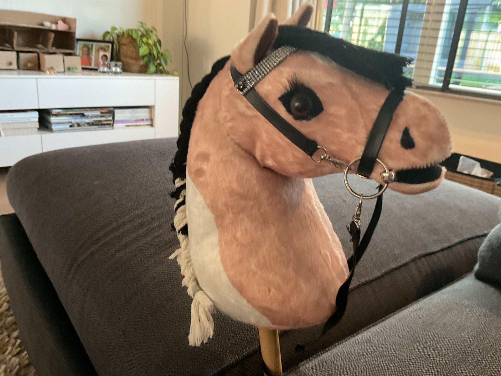 Hobby Horse Hoofdstel met Bit, Ophalen of Verzenden, Nieuw, Jongen of Meisje