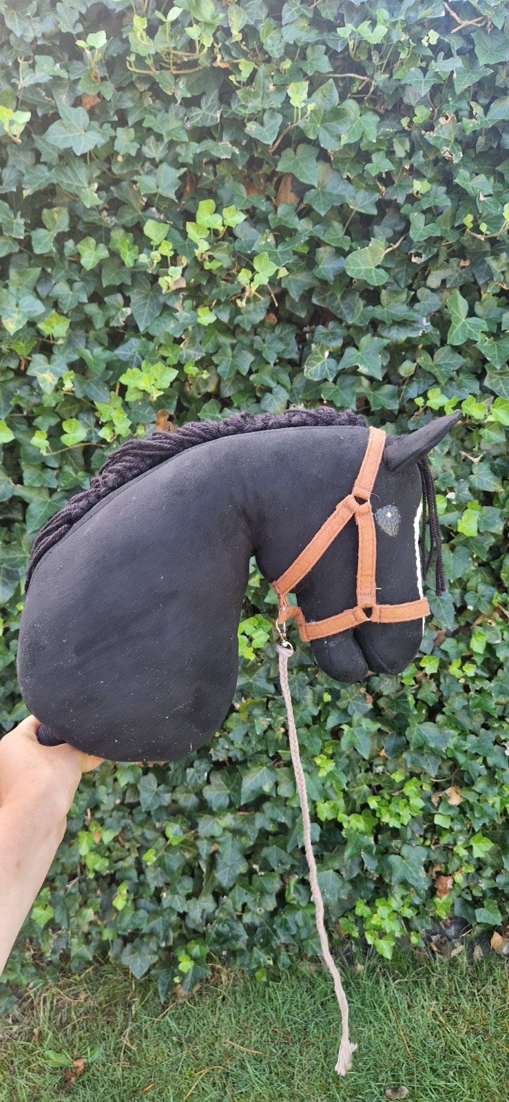 zwarte paard, Dieren en Toebehoren, Ophalen of Verzenden
