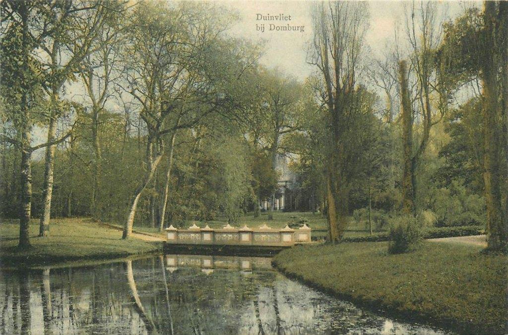 701-356-049 Domburg Duinvliet, Verzenden, Voor 1920, Zeeland