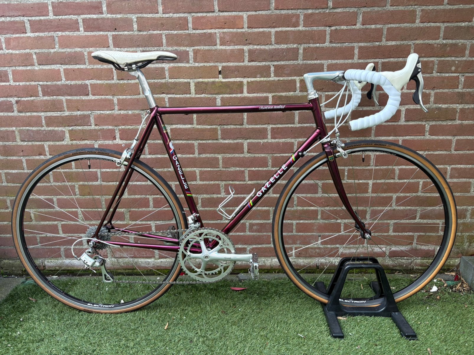 Gazelle Champion Mondial (55) Unieke kleur !! MOET WEG !!, Ophalen, Zo goed als nieuw, Overige typen