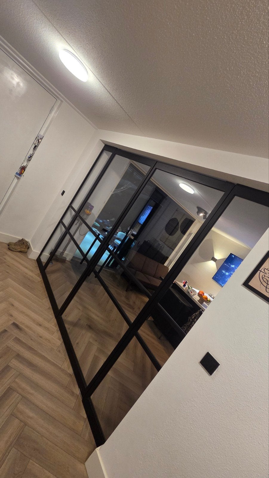 Stalen binnendeuren met glas - Modern en stijlvol, Ophalen, Binnendeur, Zo goed als nieuw, Glas