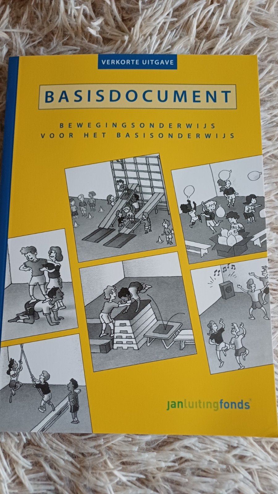 Basisdocument Bewegingsonderwijs Basisonderwijs, Boeken, Overige vakken, Jan Luitingfonds, Ophalen of Verzenden, Zo goed als nieuw