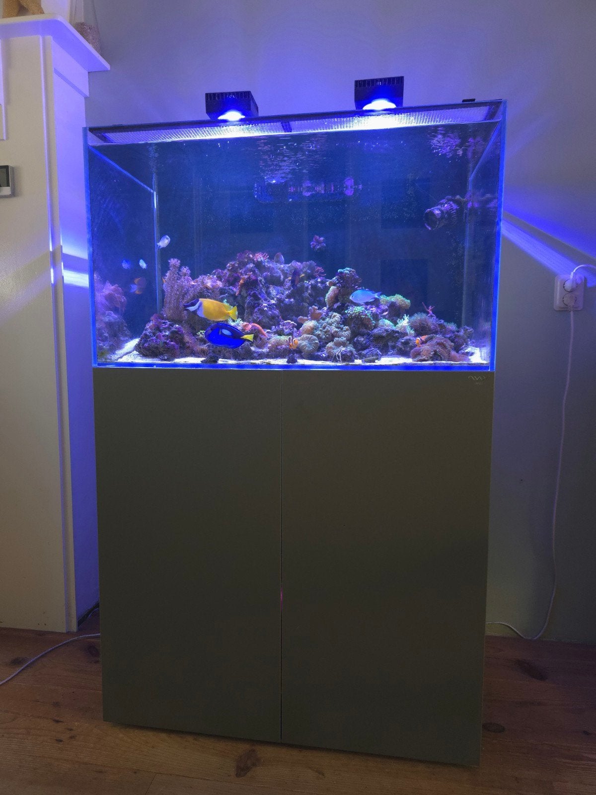Schitterend zee aquarium geheel compleet, Dieren en Toebehoren, Vissen | Aquaria en Toebehoren, Ophalen, Leeg aquarium