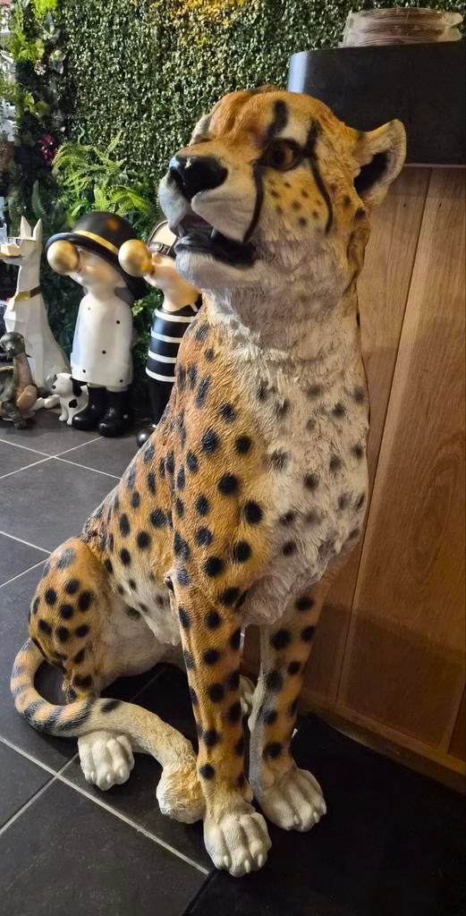 Nieuw polyester cheetah beeld, 73 cm hoog, Ophalen