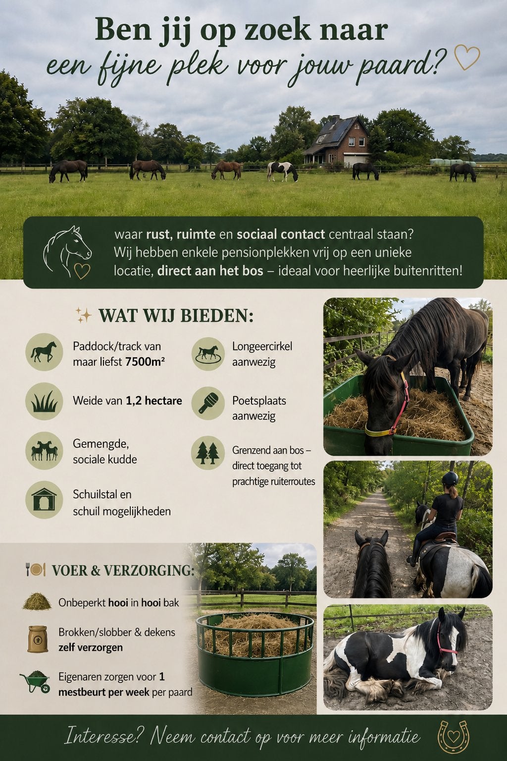 24/7 buiten Pension plekken beschikbaar lieren (apeldoorn)