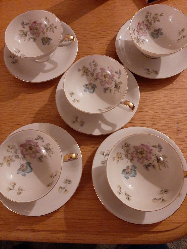 5  Hertel Jacob Kop en Schotels, Ophalen of Verzenden
