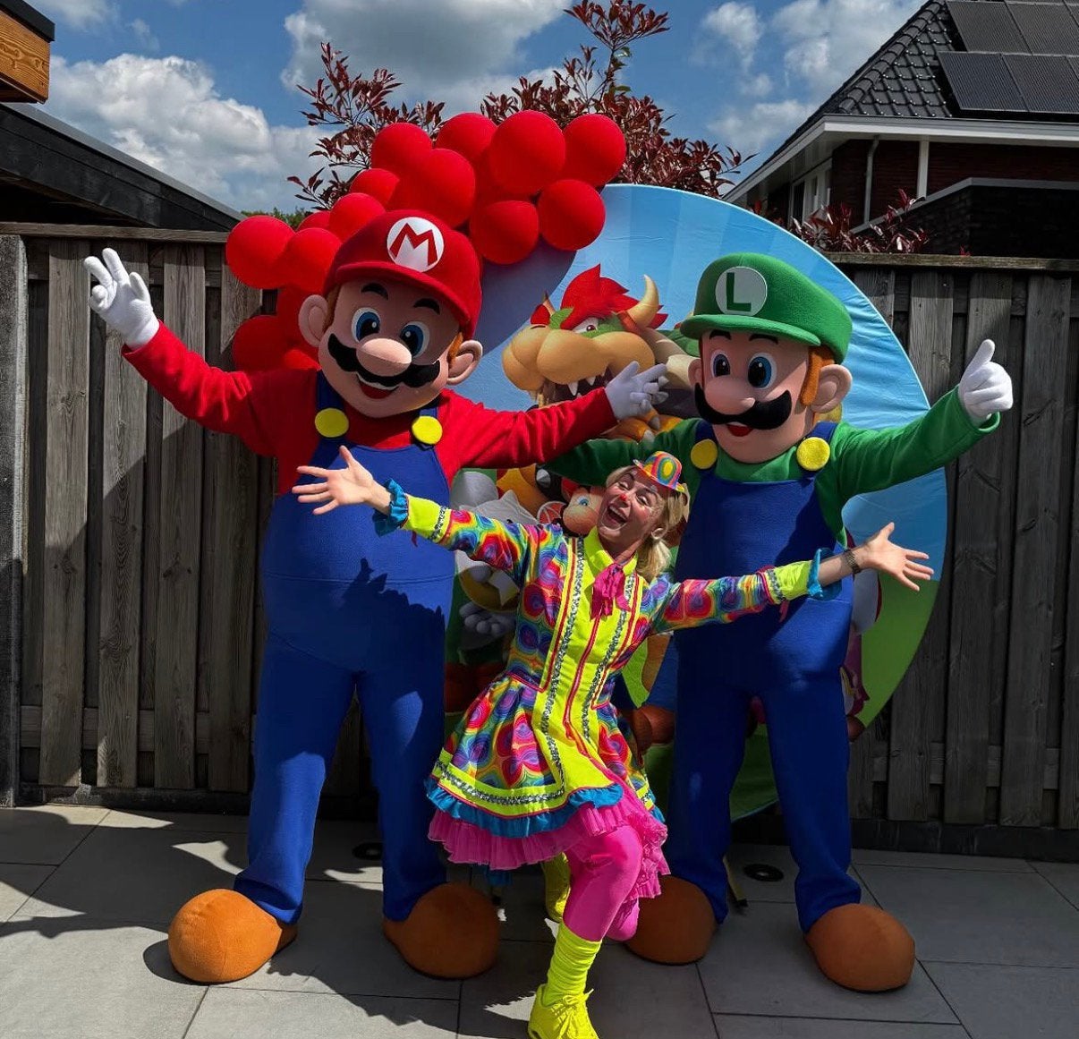 Super Mario & Luigi mascotte te boek ‼️, Ophalen