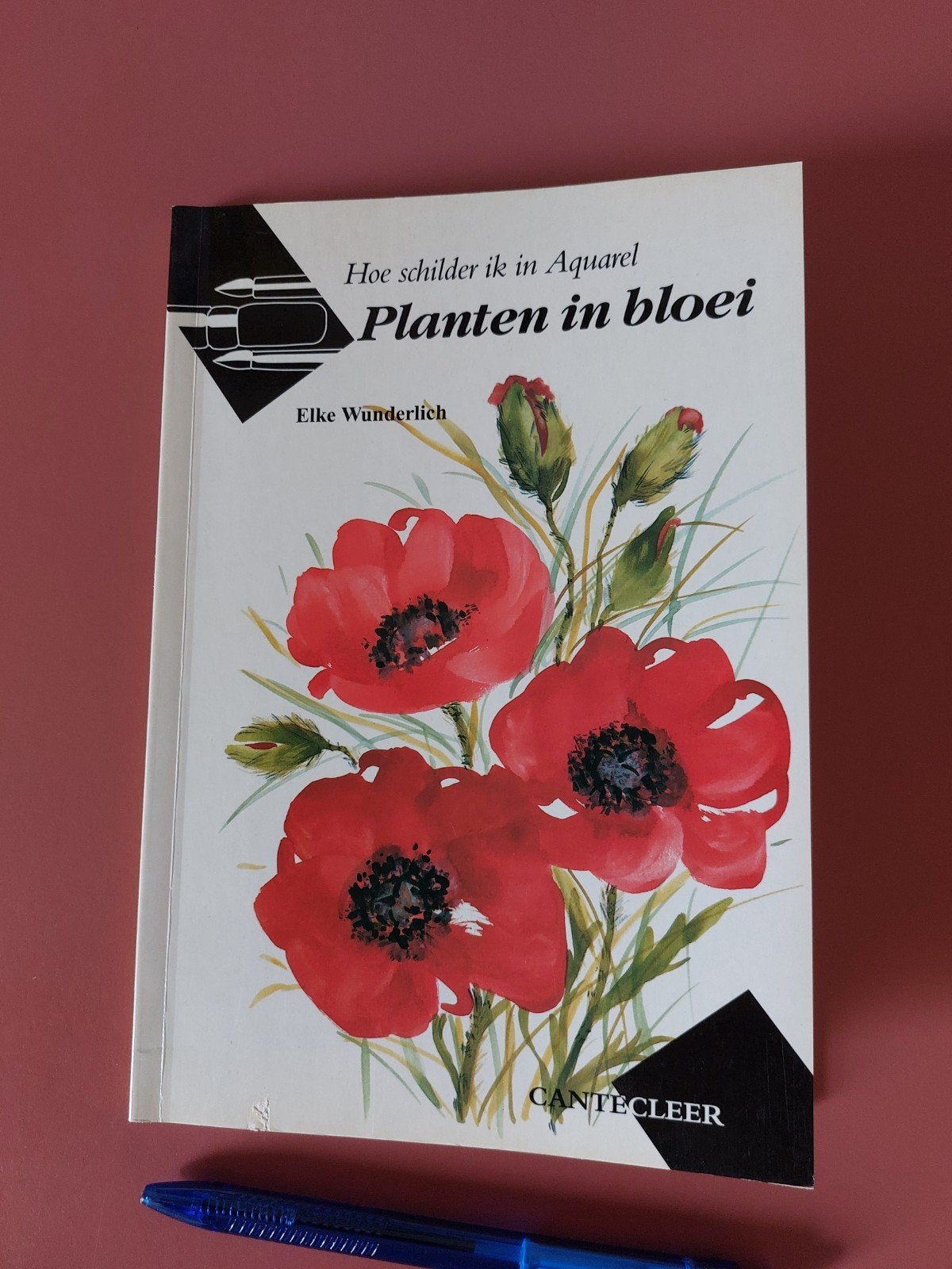 Hoe schilder ik in aquarel.  Planten in bloei., Ophalen of Verzenden, Nieuw, Tekenen en Schilderen